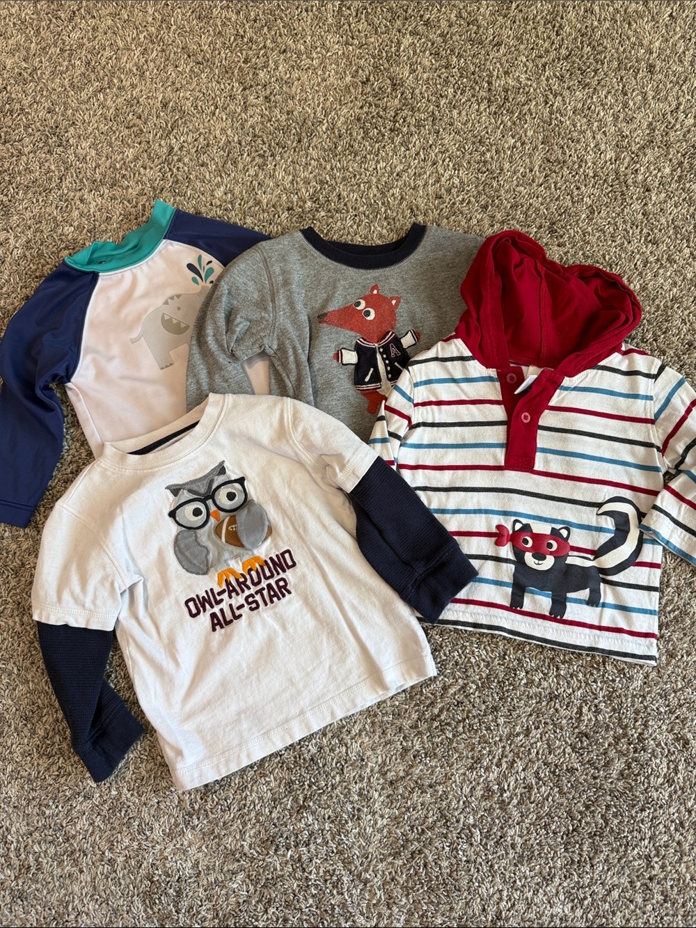 Gymboree lot Striped Red Hooded Kids Top with Raccoon Graphic